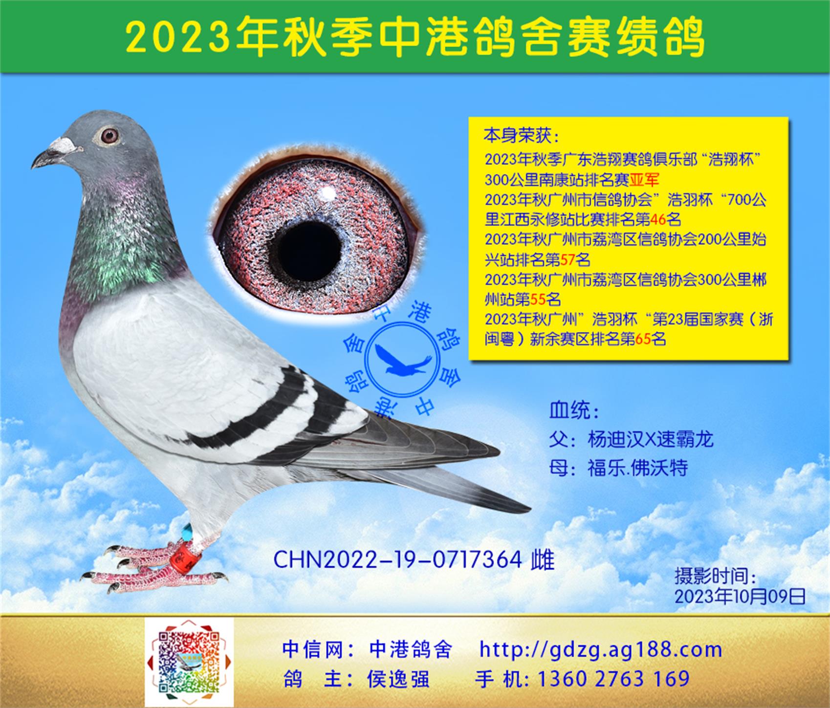 23㶫 300ϿվǾ