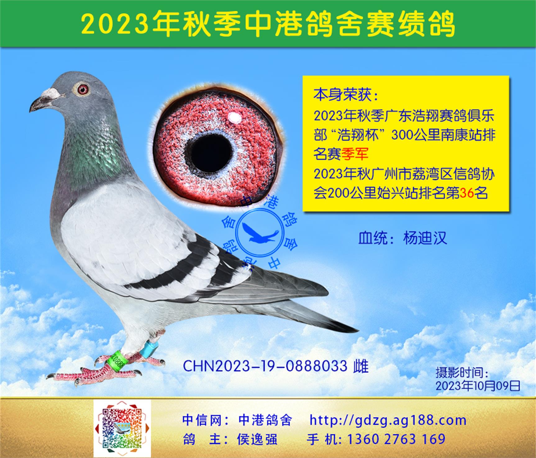 23㶫 300Ͽվ