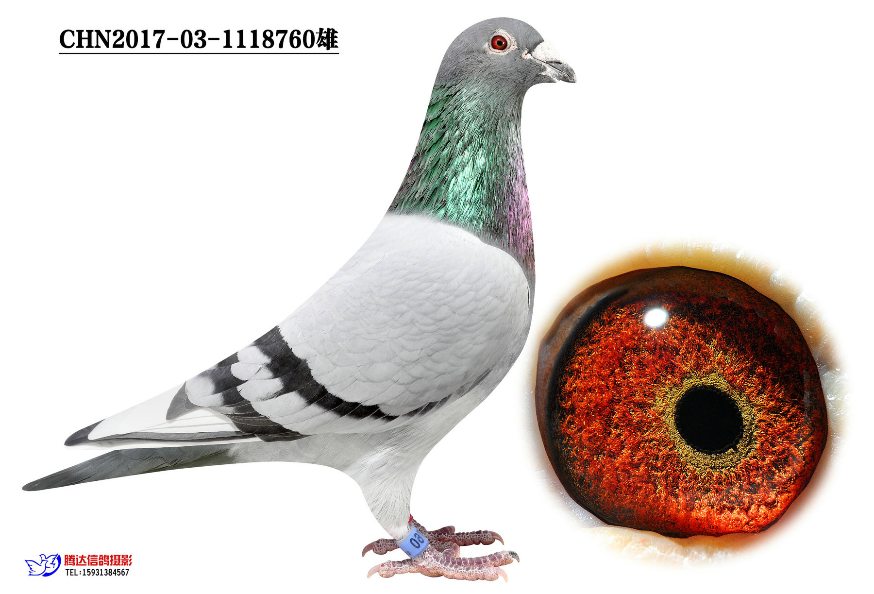 760