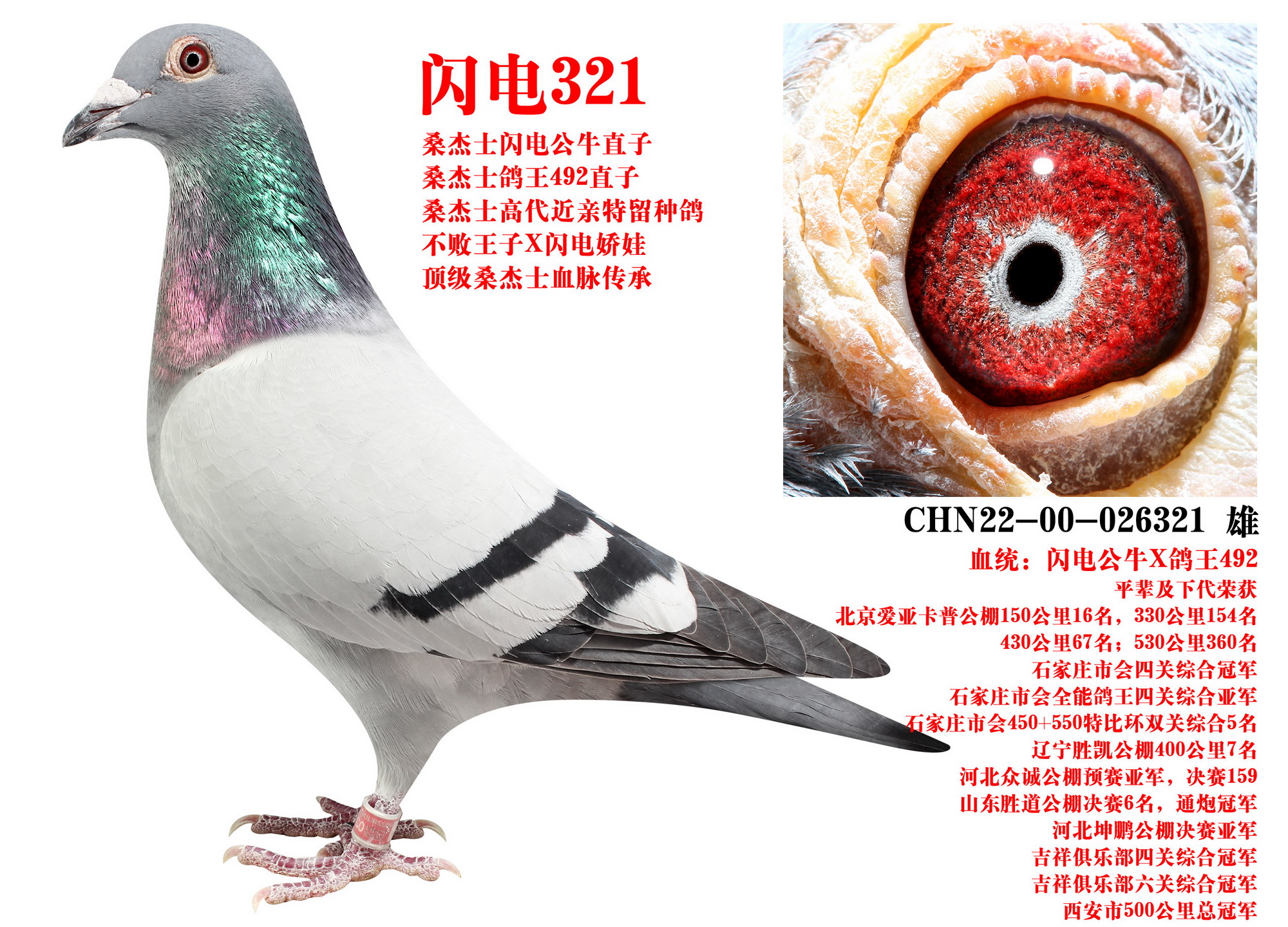 ɣʿ W321