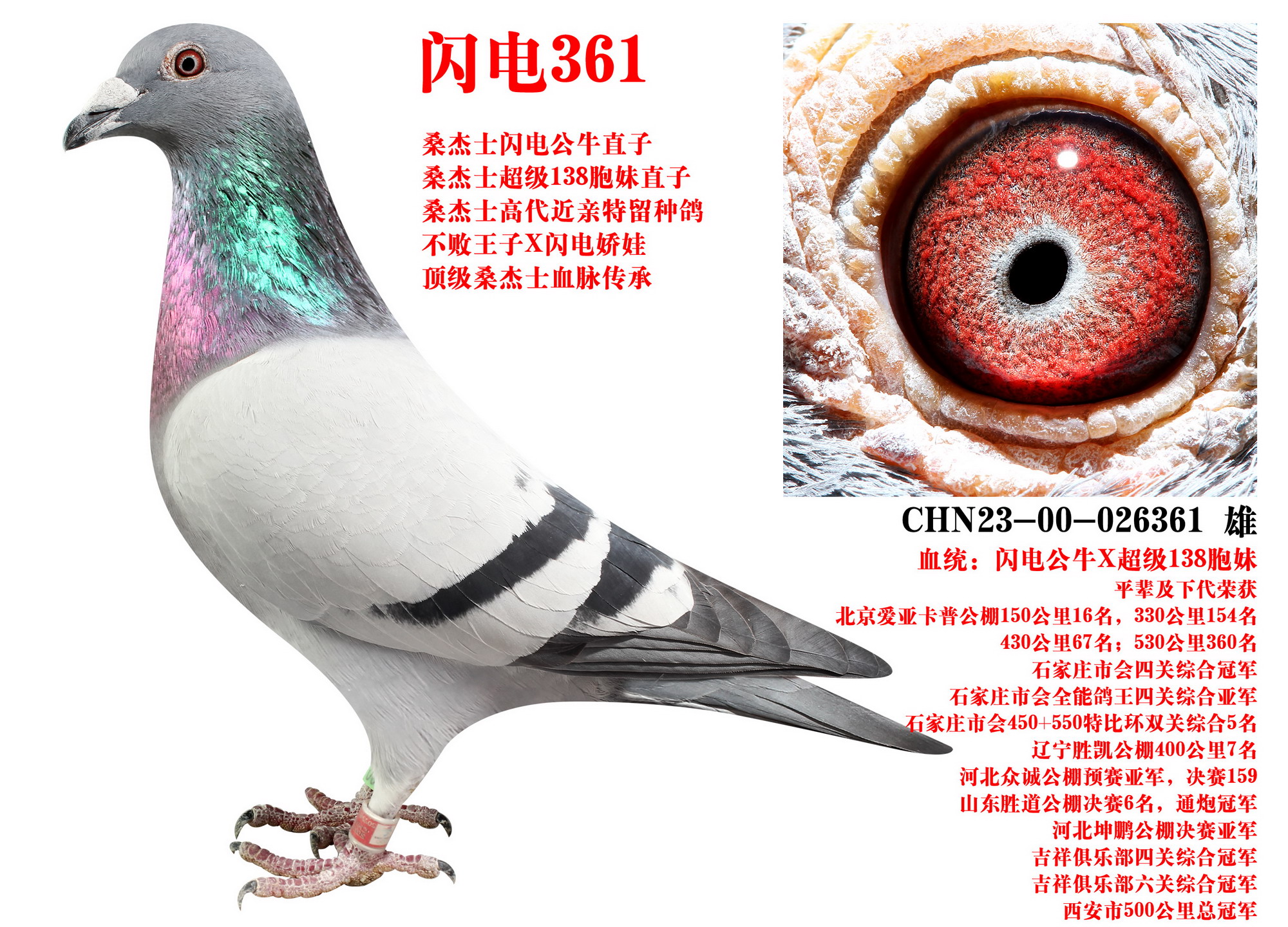 ɣʿ W361