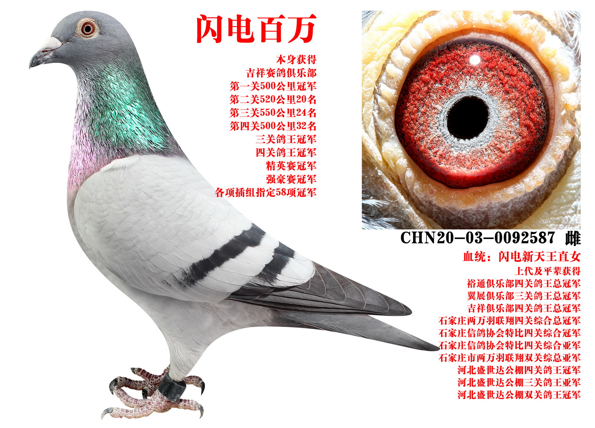 ɣʿ W늰f(wn)