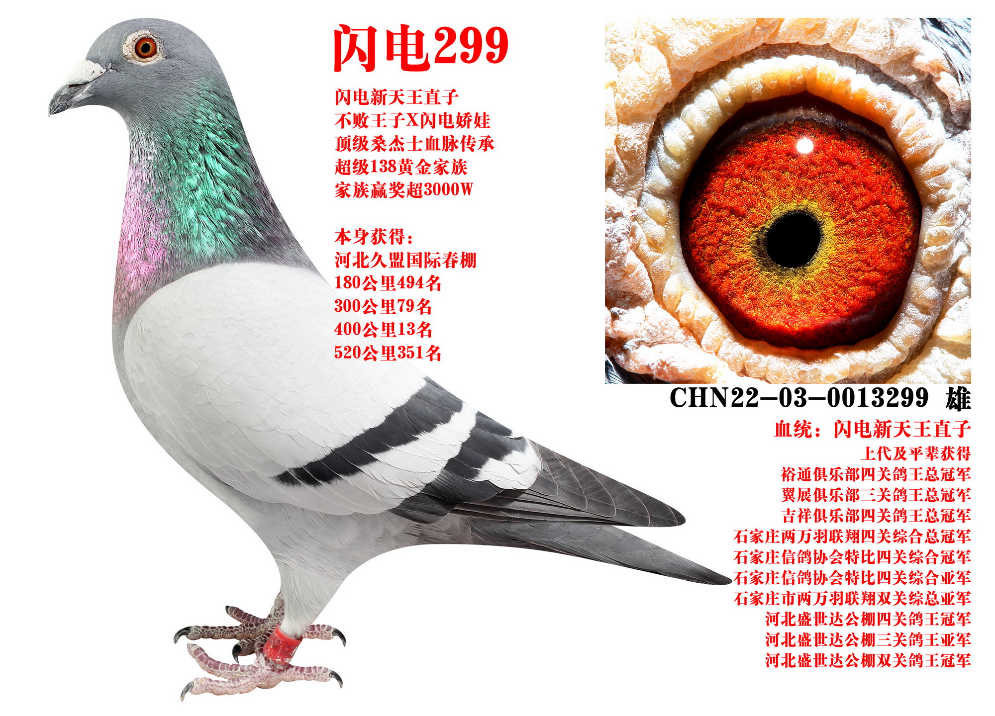ɣʿ W299