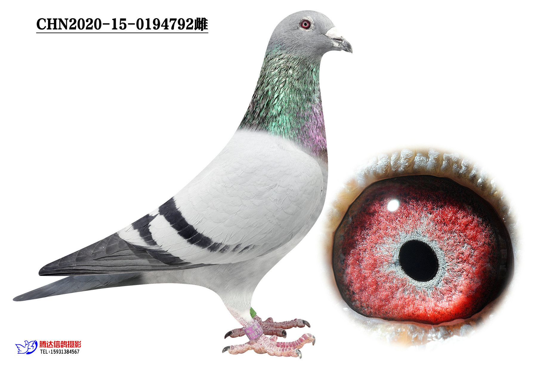 o792