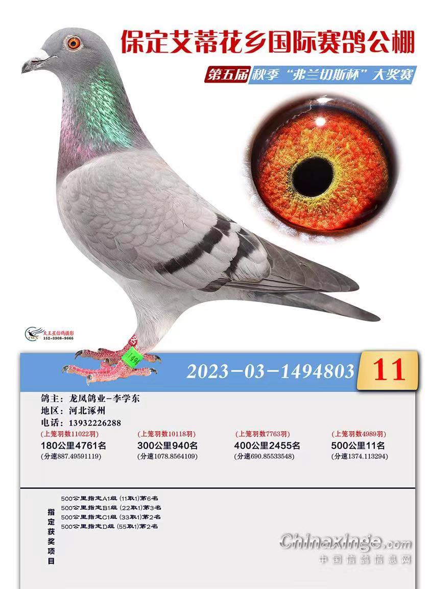 l(xing)Qِ11
