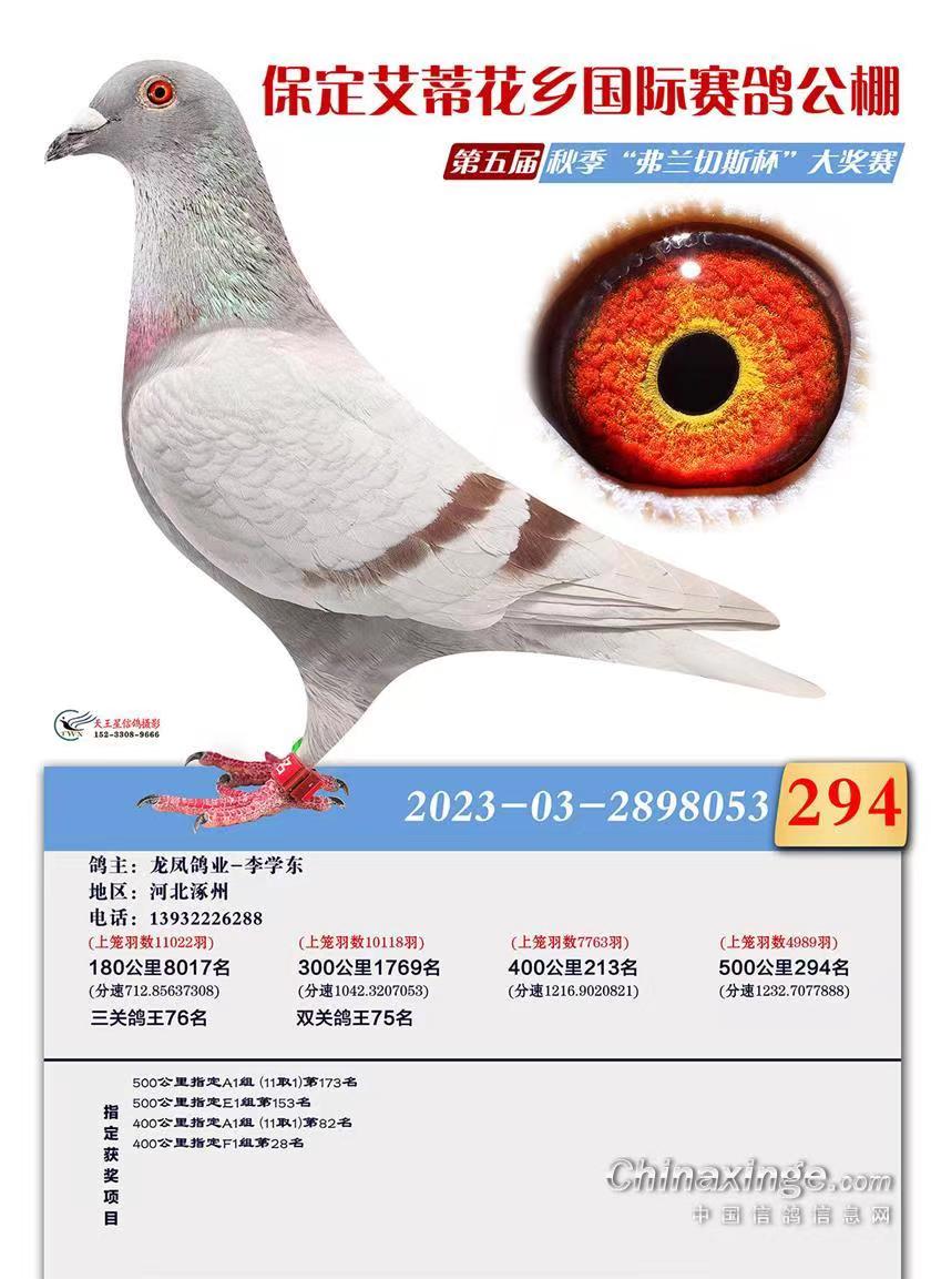 l(xing)Qِ294