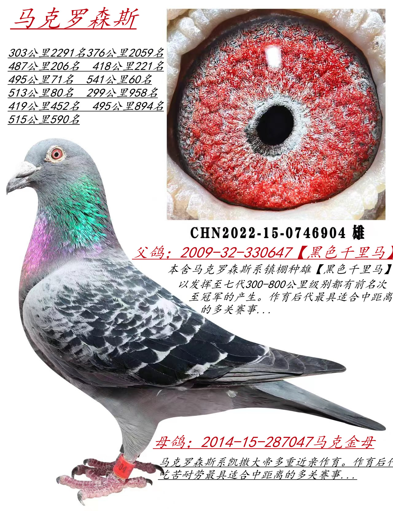 R_ɭ˹ذ桿2