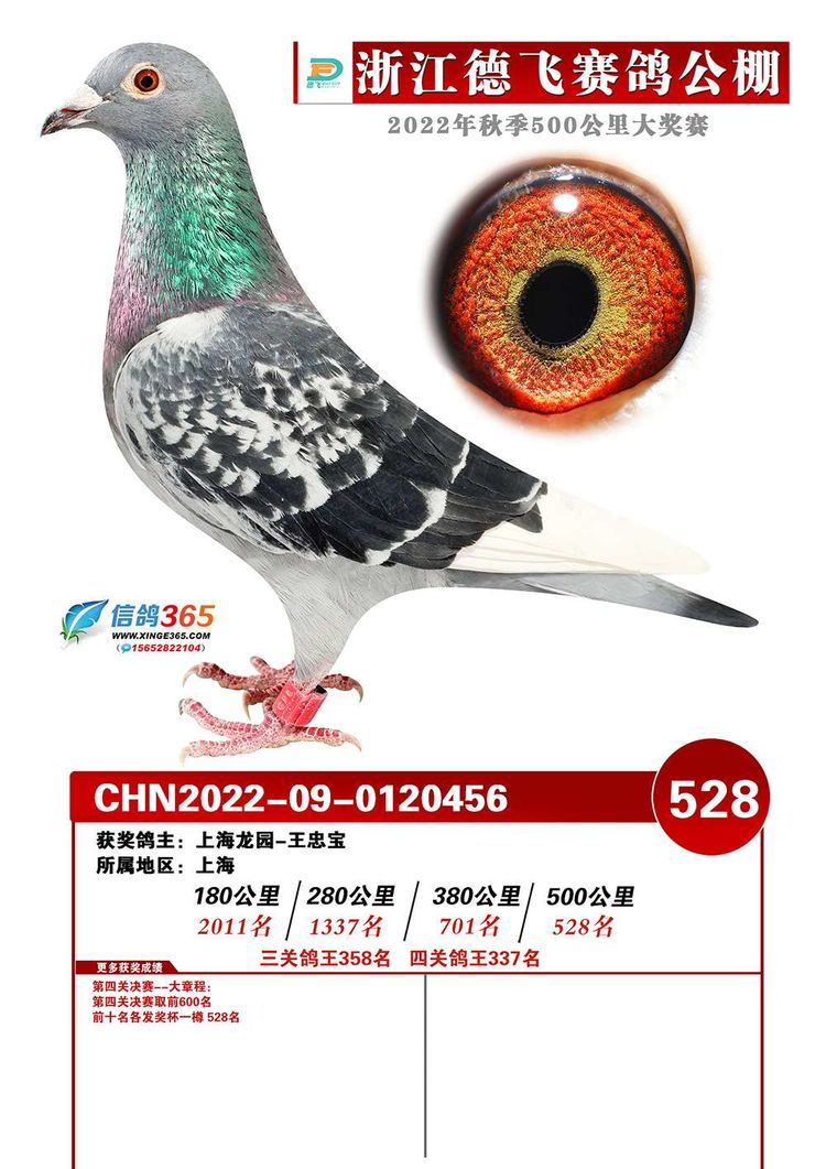 w528