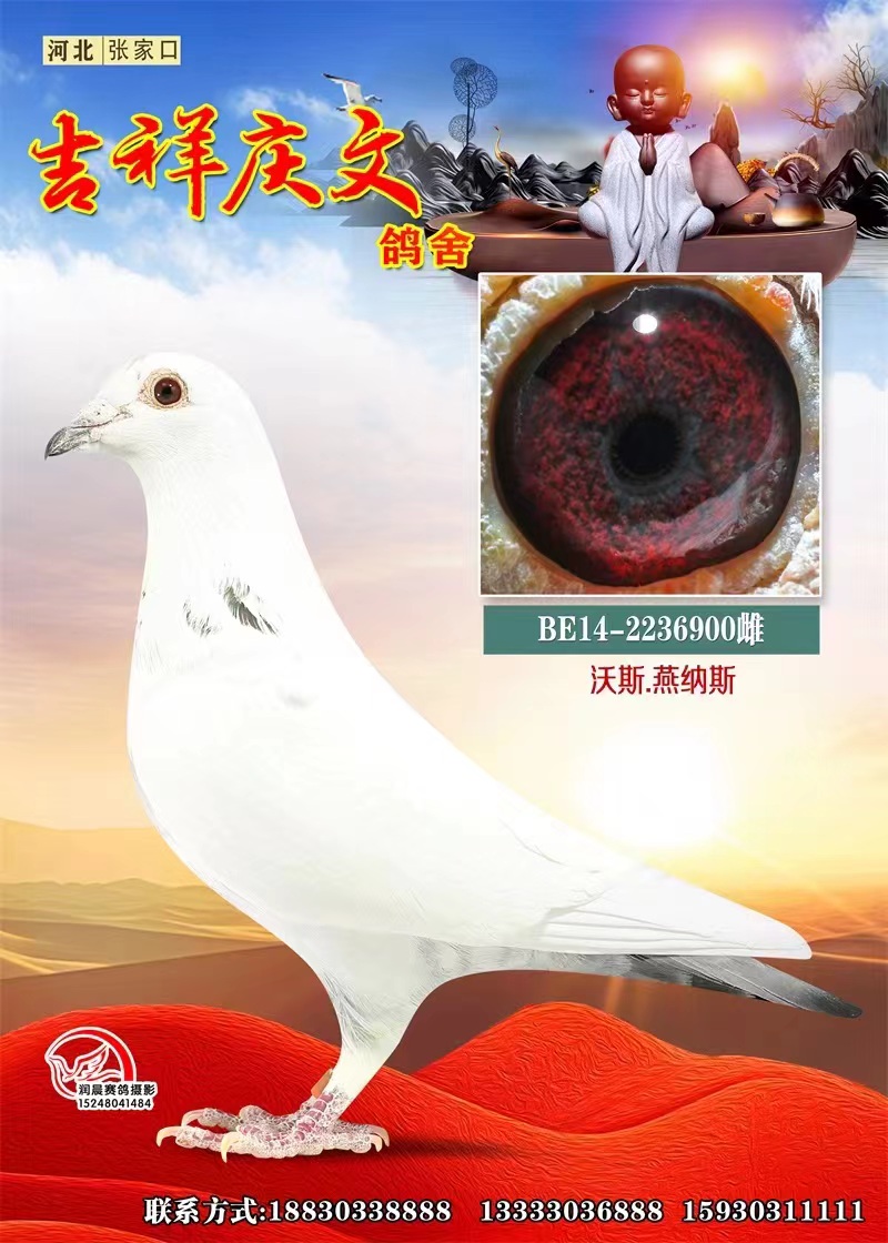 {˹Ah(hun)N