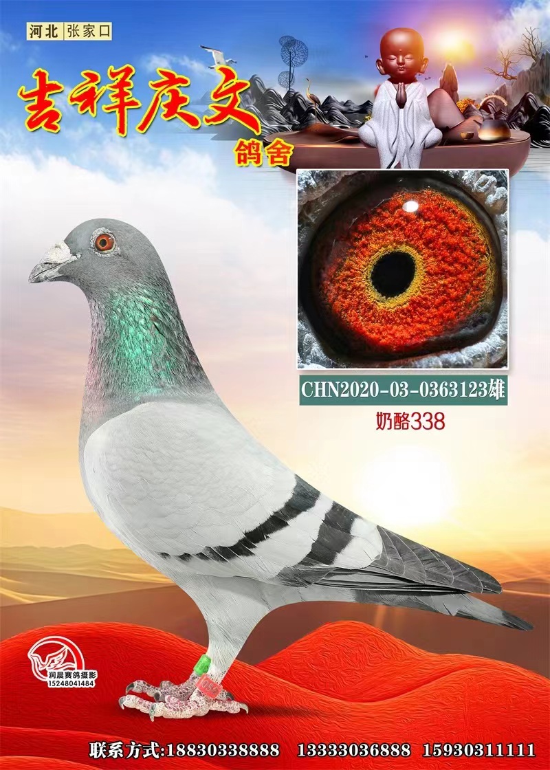 338