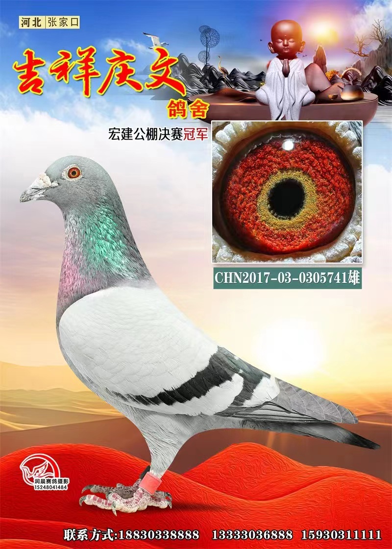 꽨Qِ܊