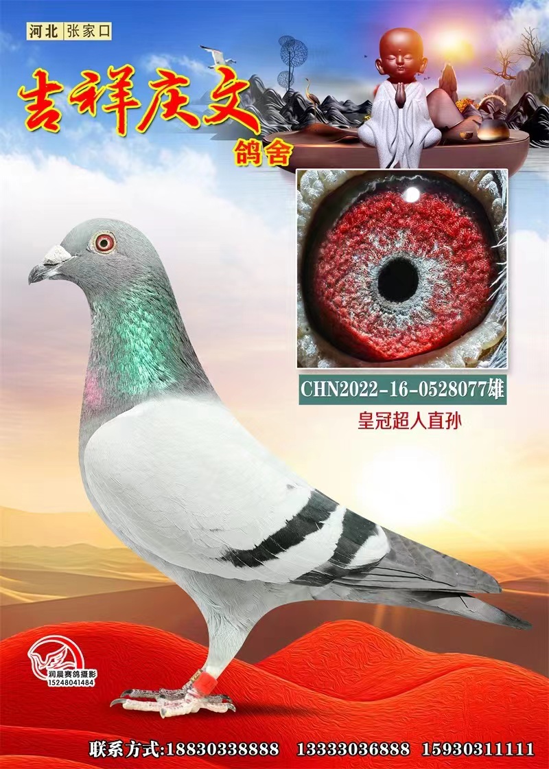 ʼҳֱO