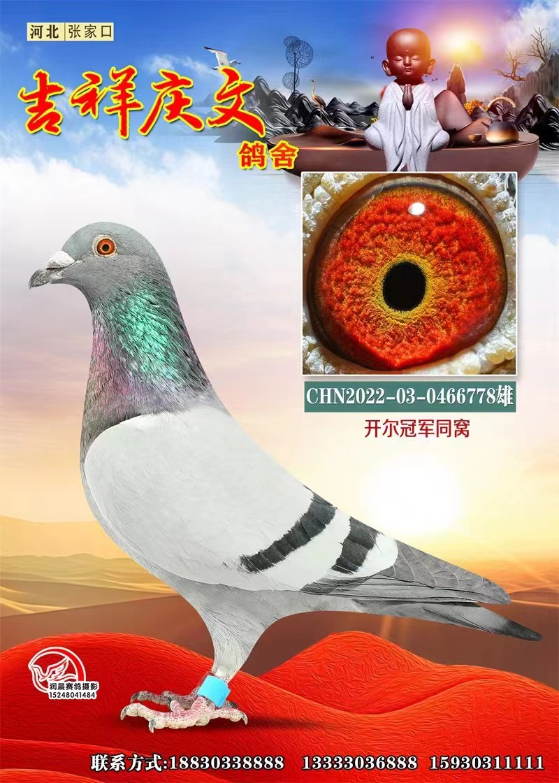 _(ki)܊ͬC