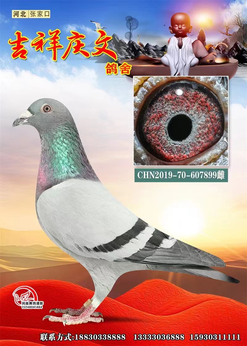 Ѫy(tng)