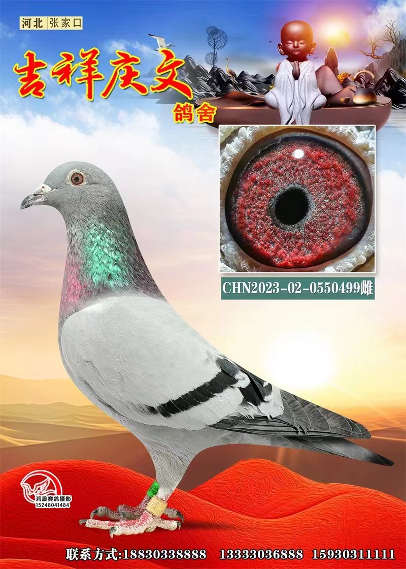 Ѫy(tng)