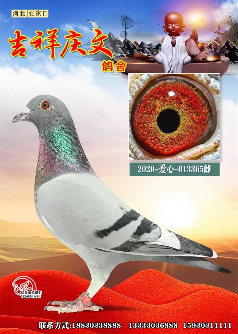 Ѫy(tng)