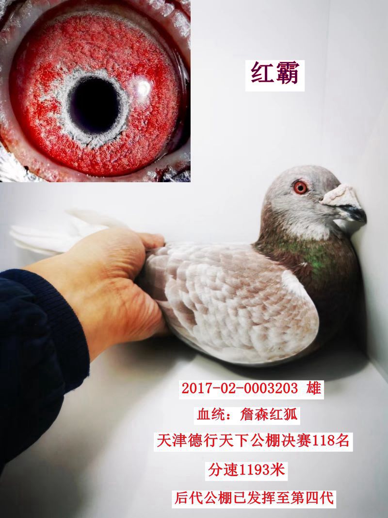 tԣD(zhun)׌