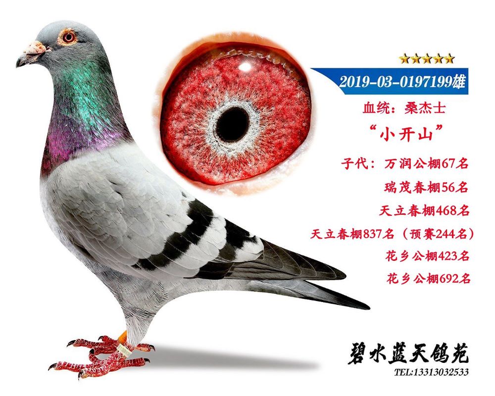 С_ɽ