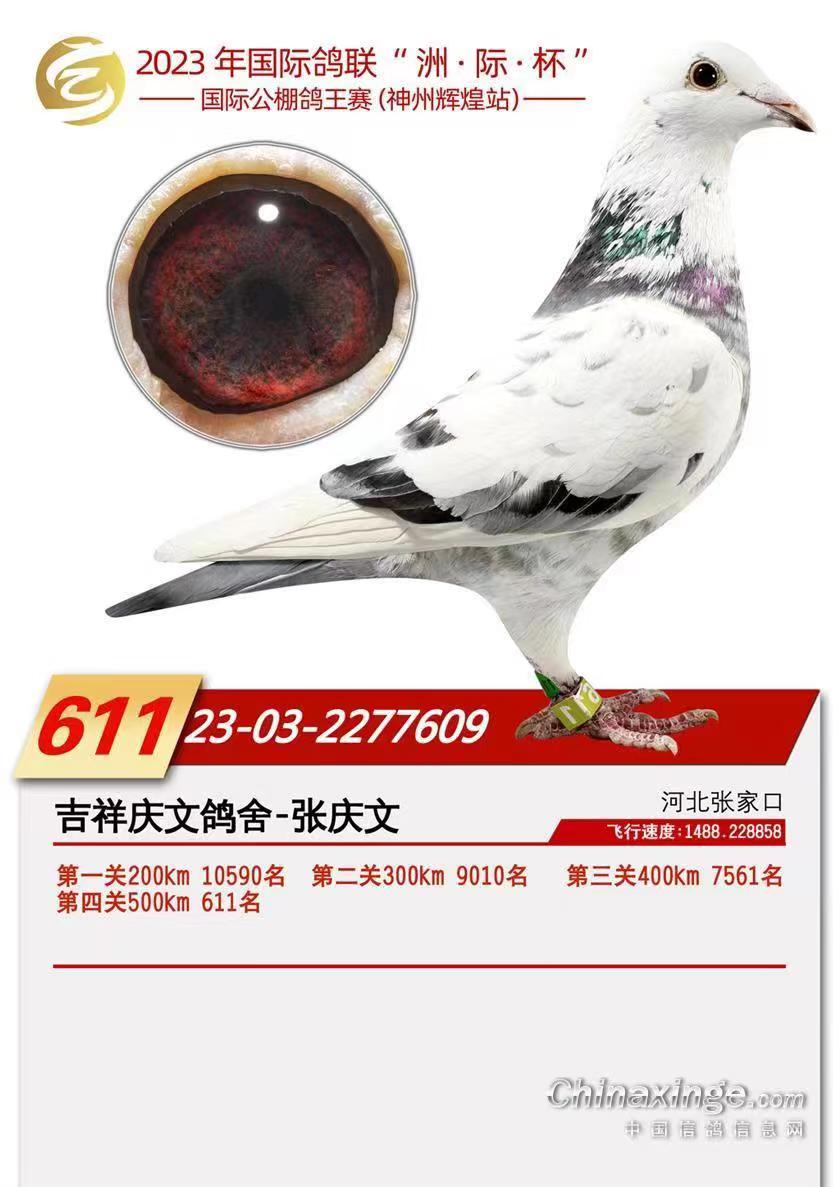 x͛Qِ611