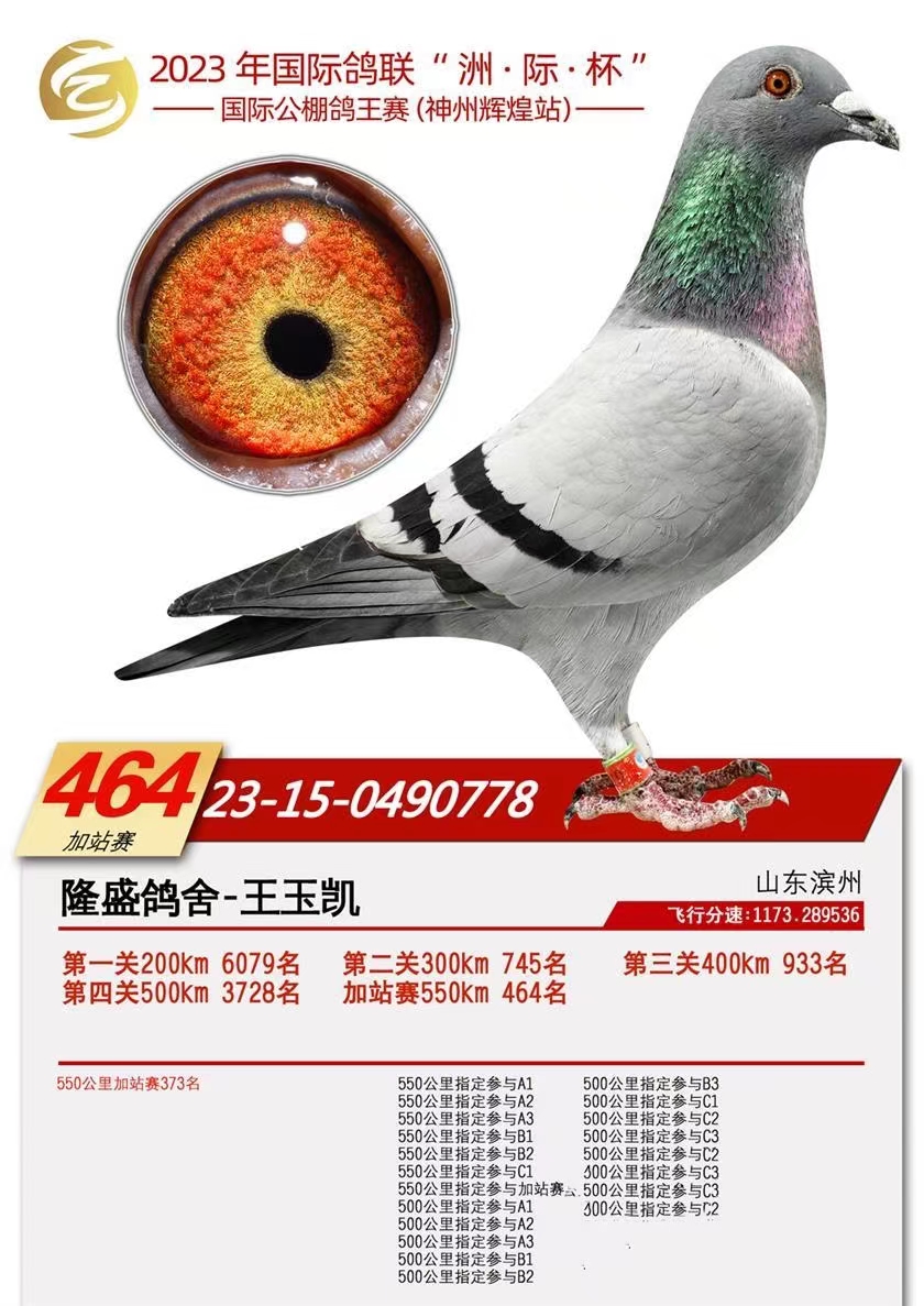 ���ݻԻ�464��