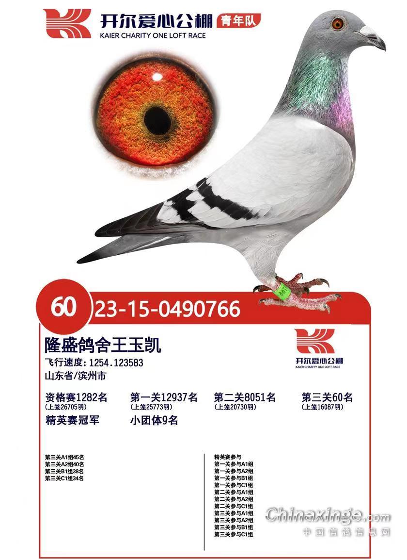 ��������Ӿ�Ӣ���ھ�