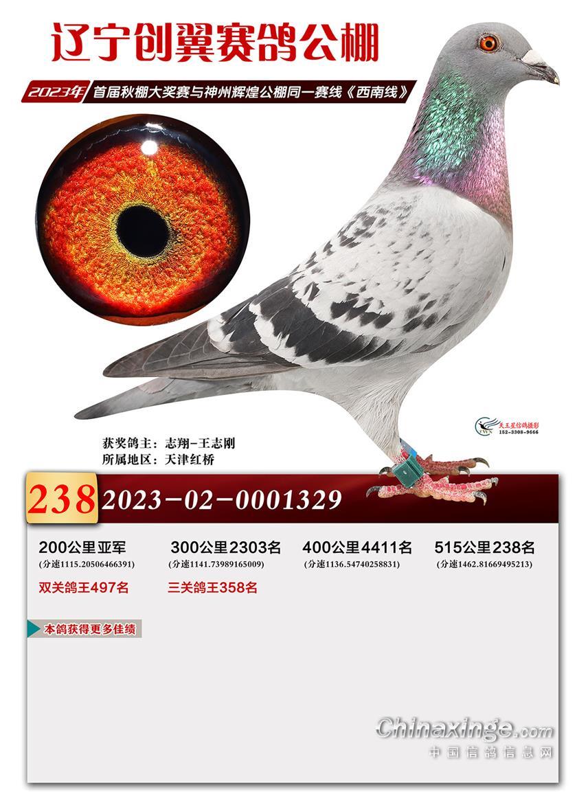 |(chung)Yِ܊Qِ238