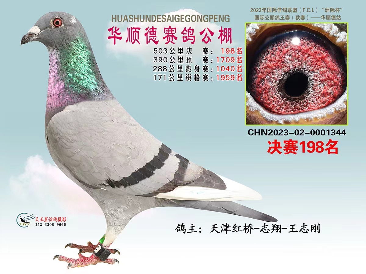 A혵198
