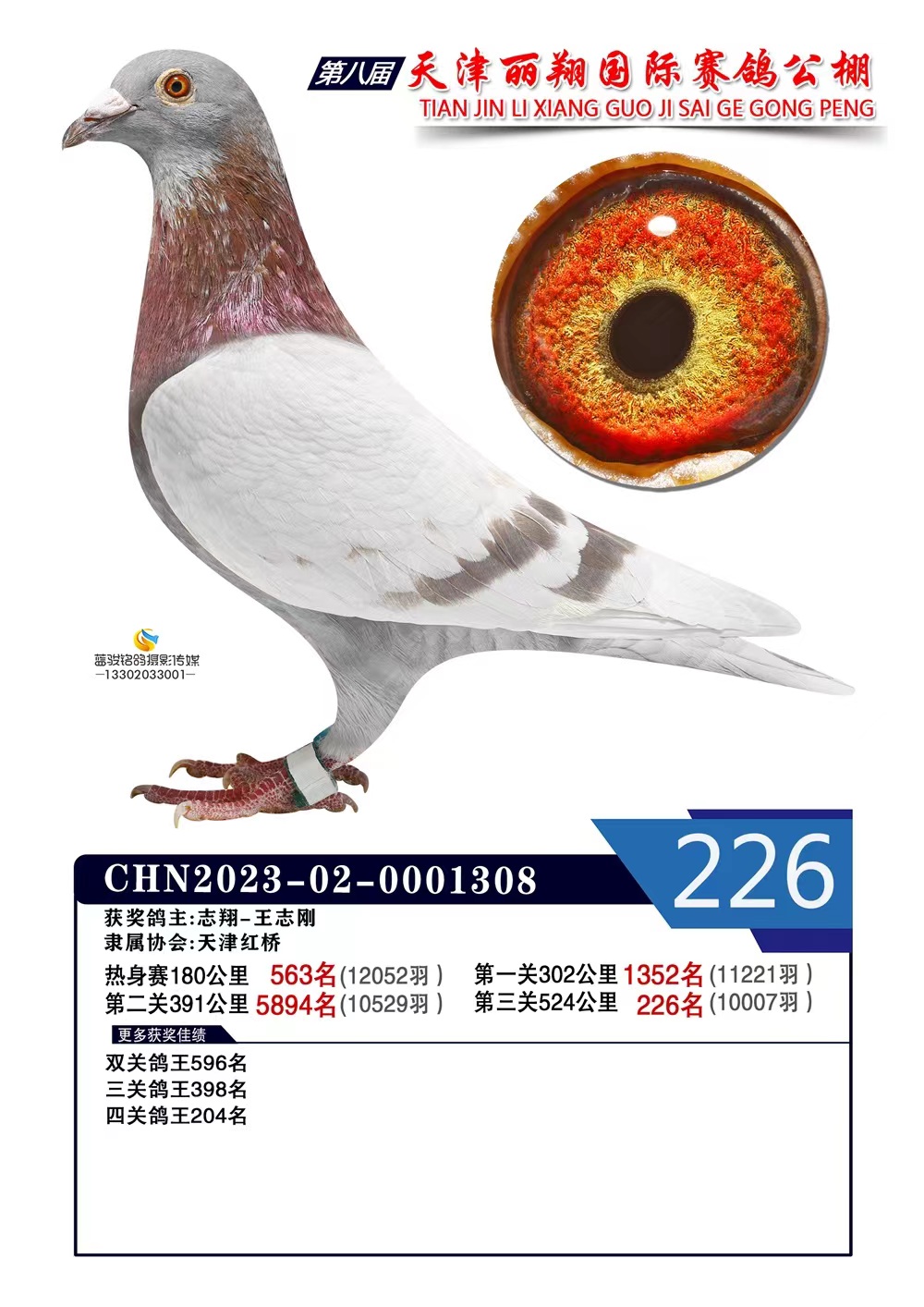 蹫Qِ226