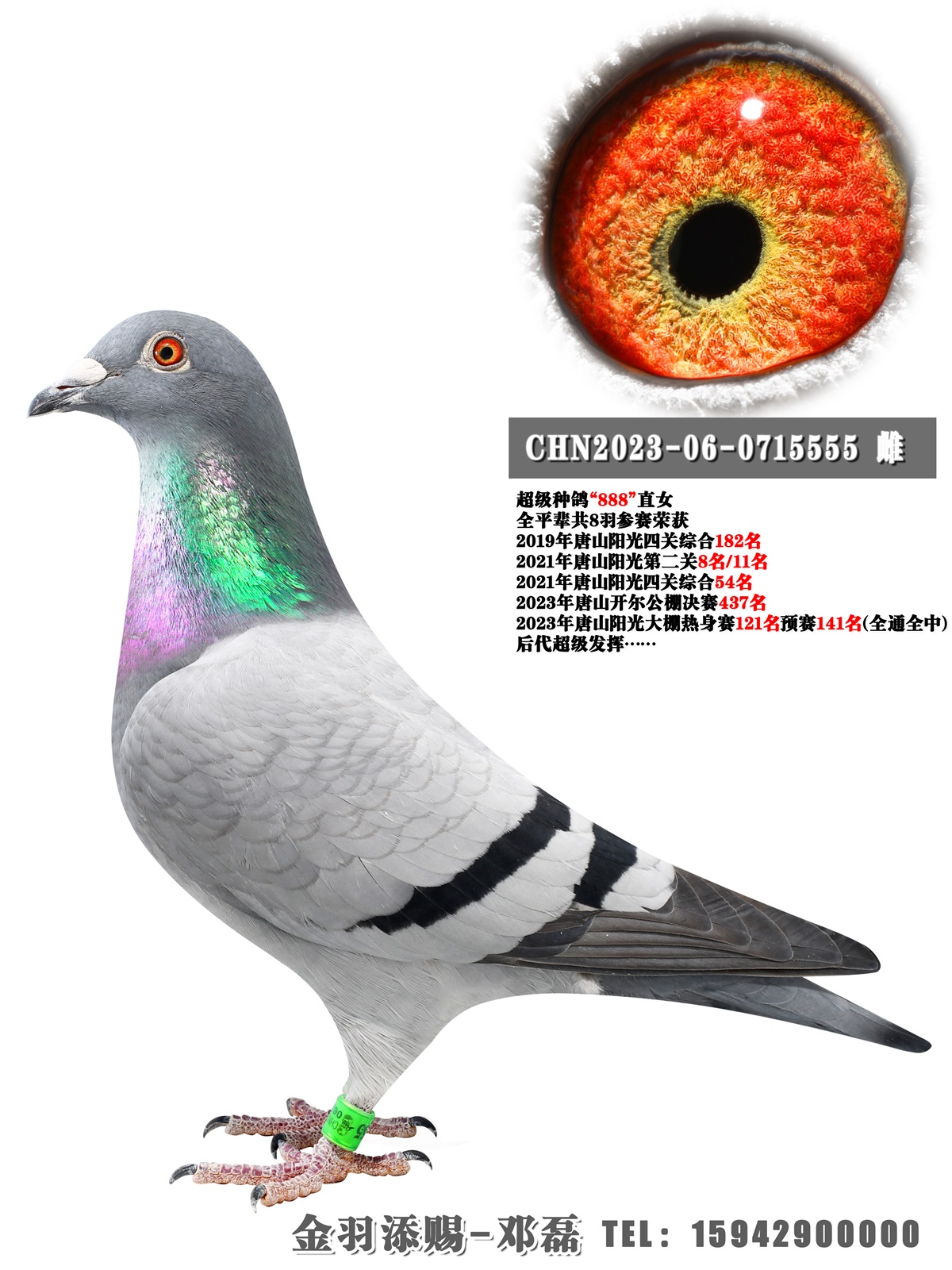 N888ֱŮ