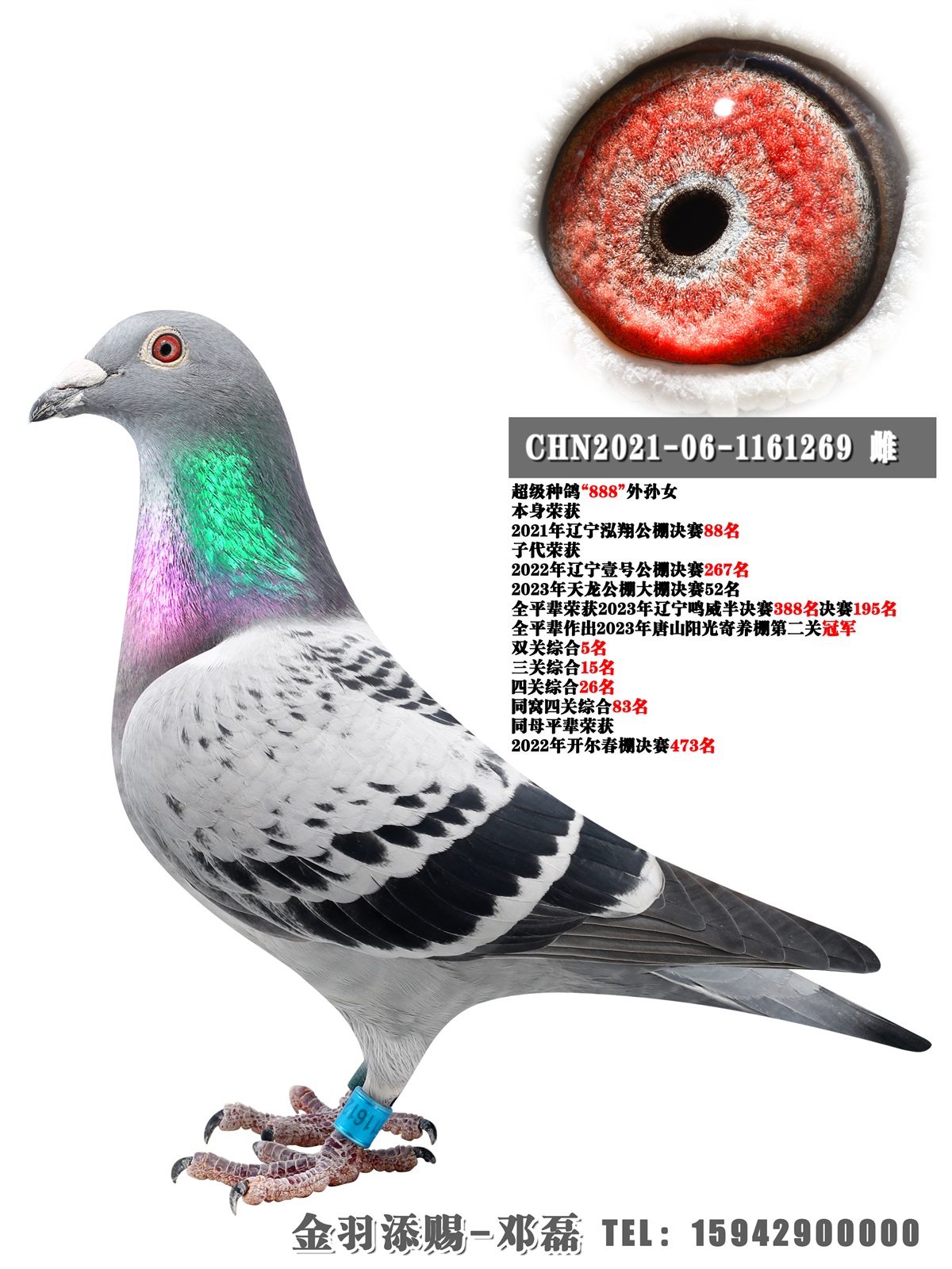 2021蹫Qِ88