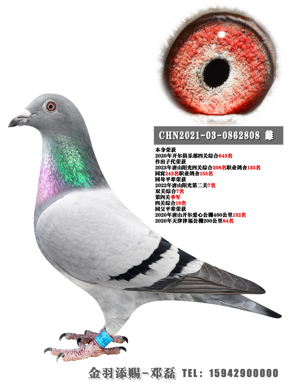 _(ki)6ֱŮ