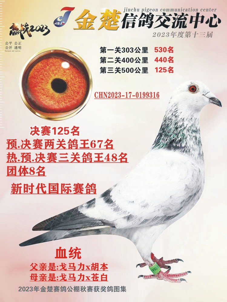 23年湖北金楚決賽125名；三關(guān)王48名