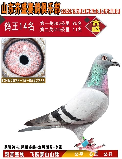 P(gun)14
