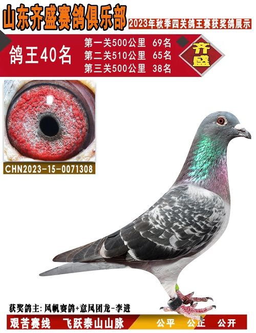 P(gun)40