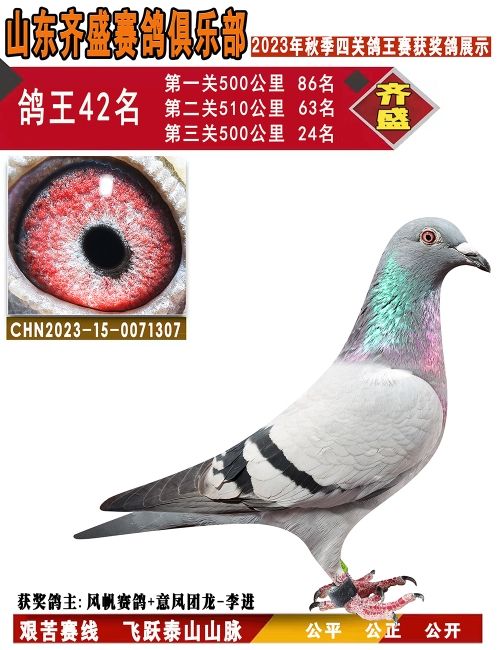 P(gun)42