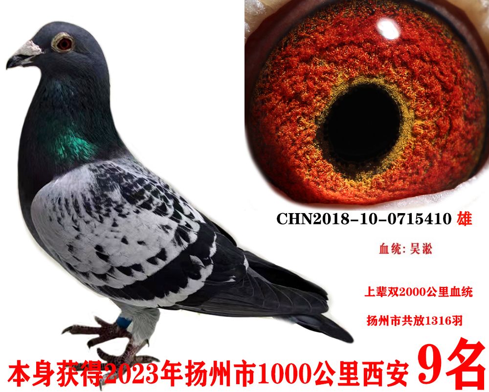 ǧ9