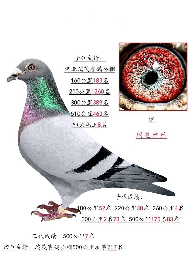 N۽zz