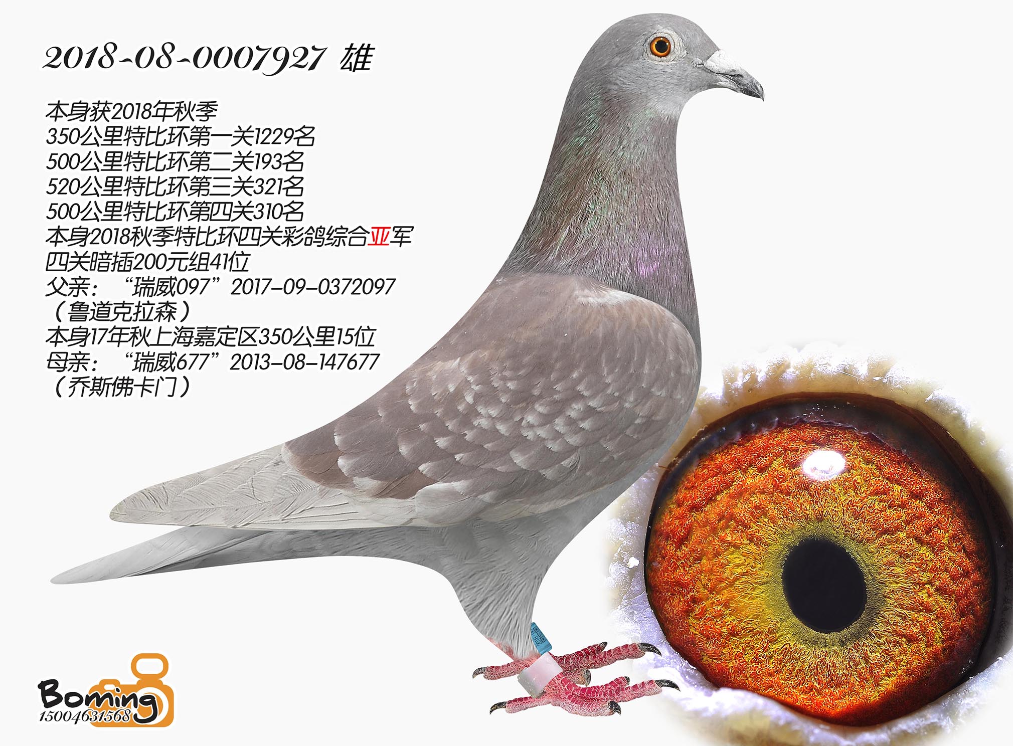 927?sh)ɭ? ></a>
        
      
      </div>
   
       <br>
    </td>
  </tr>
</table>
   
<table width=