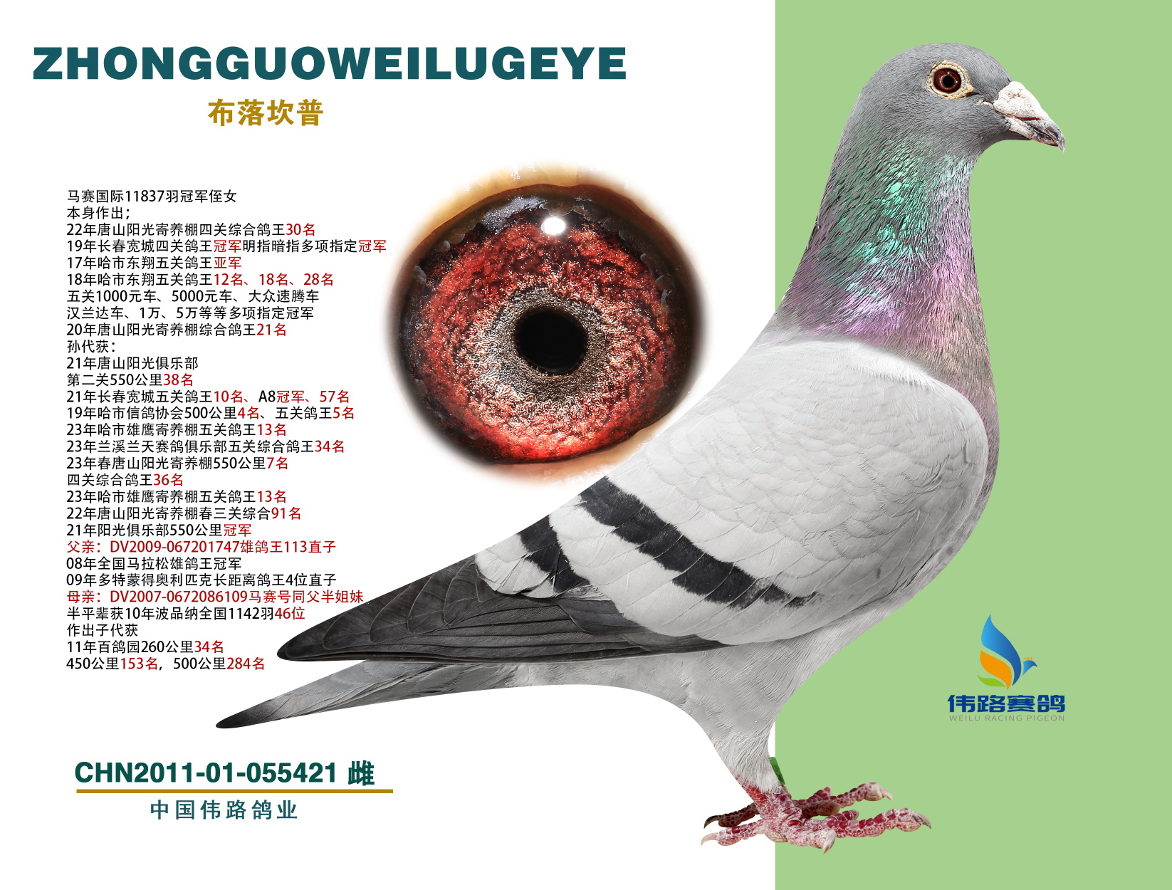 俲P(gun)܊֮ĸ
