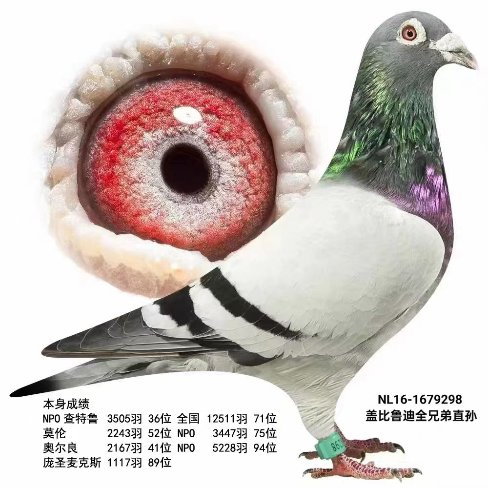 w?sh)ȫֱֵO