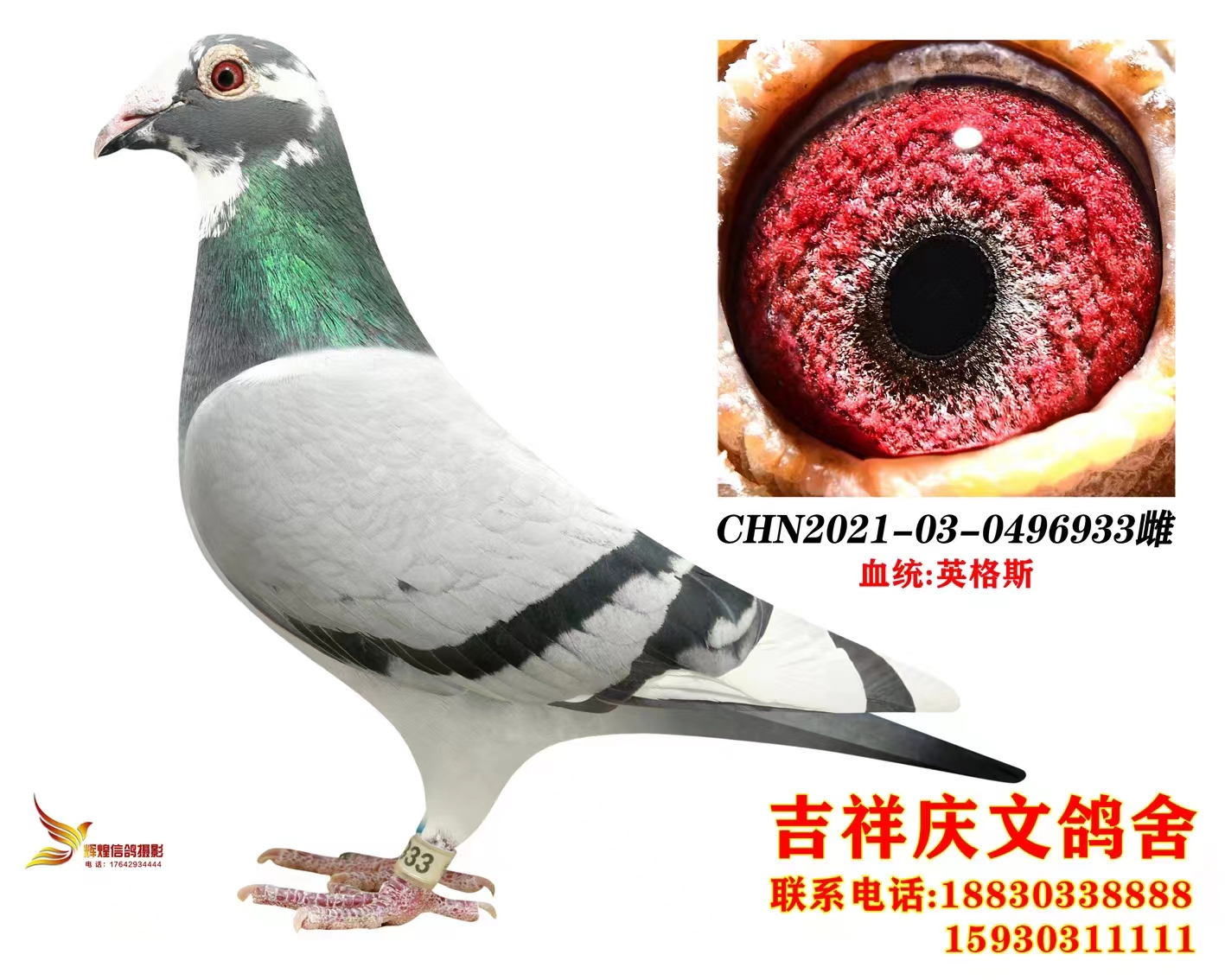 Ӣ˹