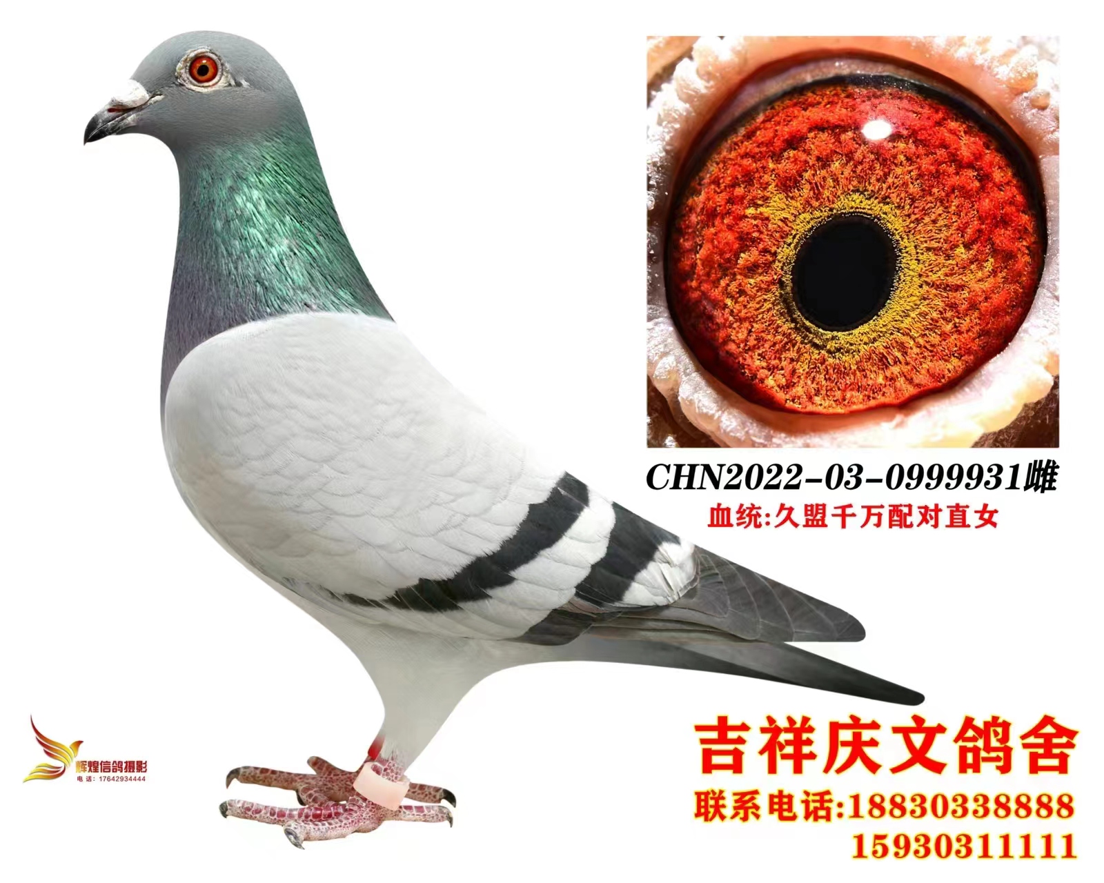 ǧf䌦ֱŮ
