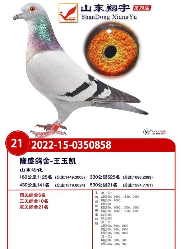 �����Ĺظ���6λ