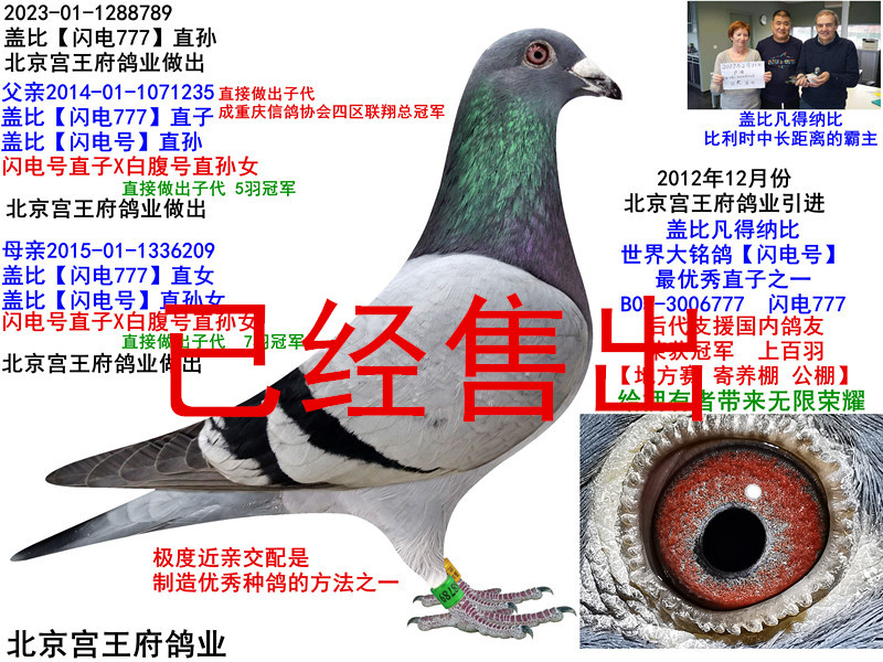 wȡW777ֱO