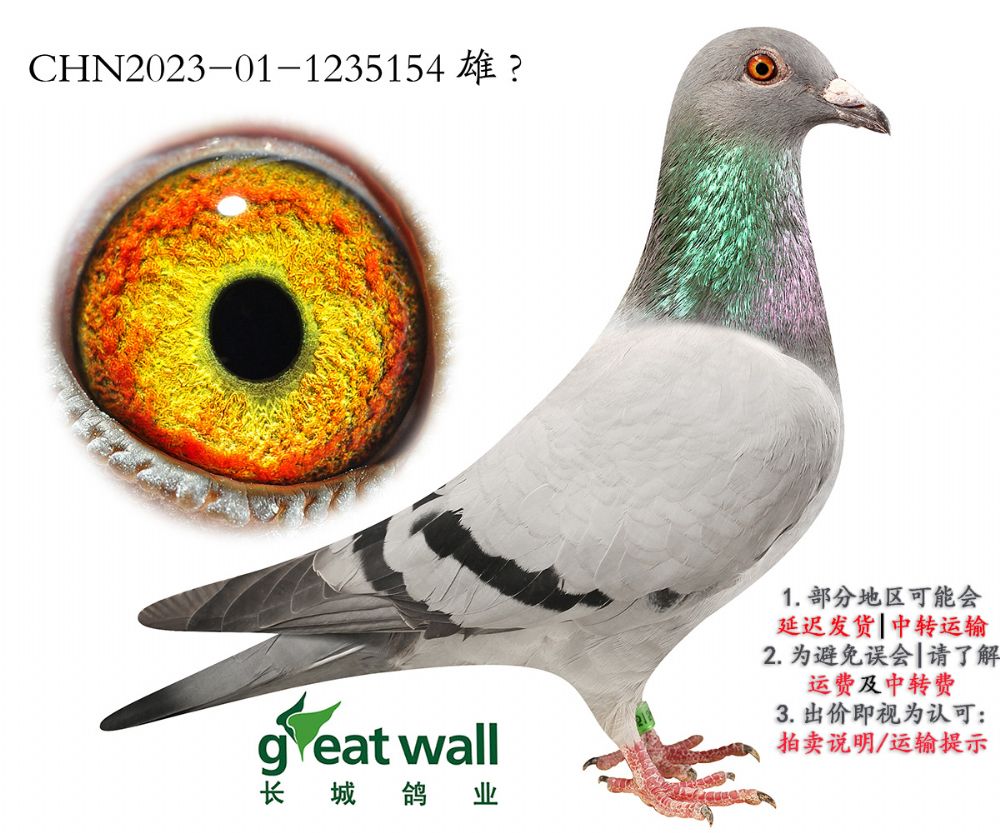 3.wxѪϵ.1235154
