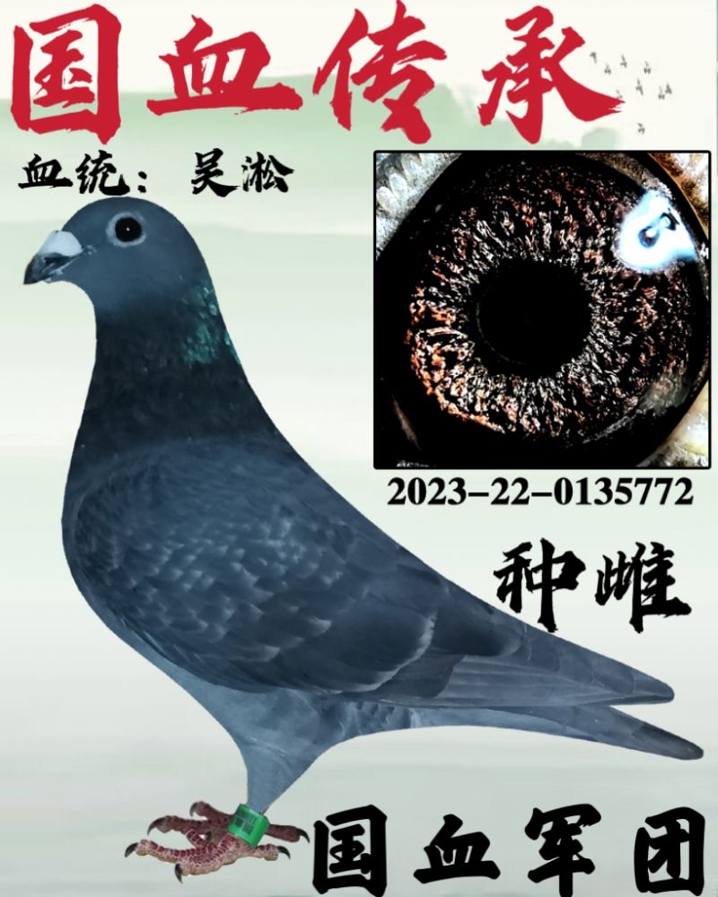 h(yun)̅