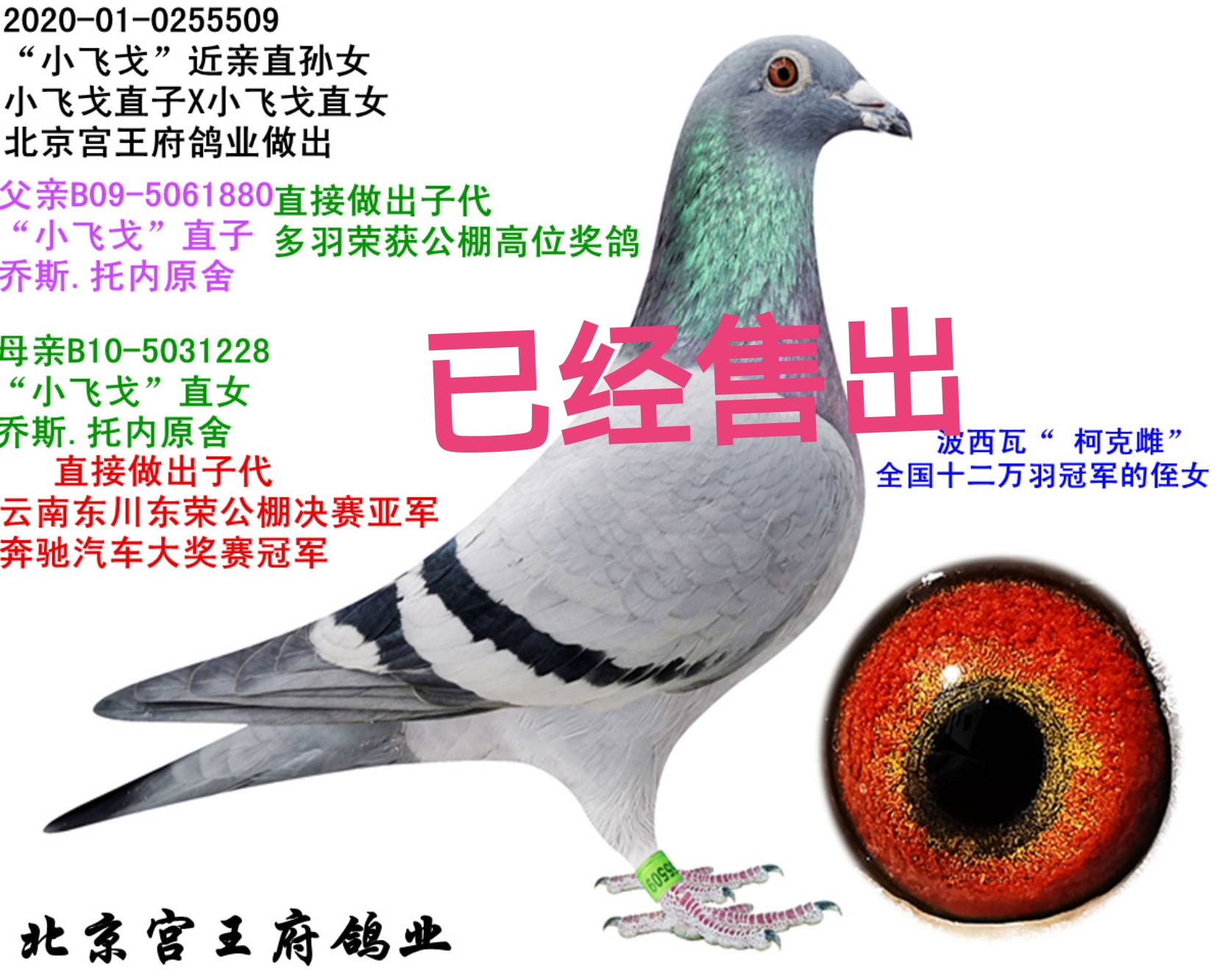 СwHֱOŮ ͬĸ䌦(du)