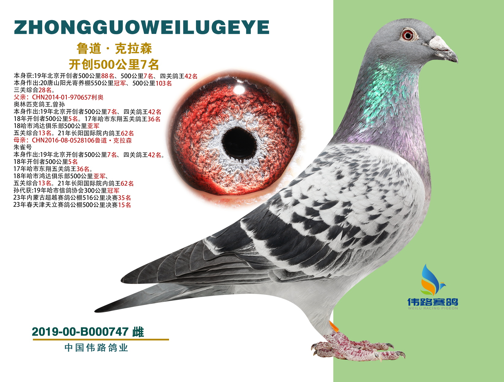 _(chung)5007