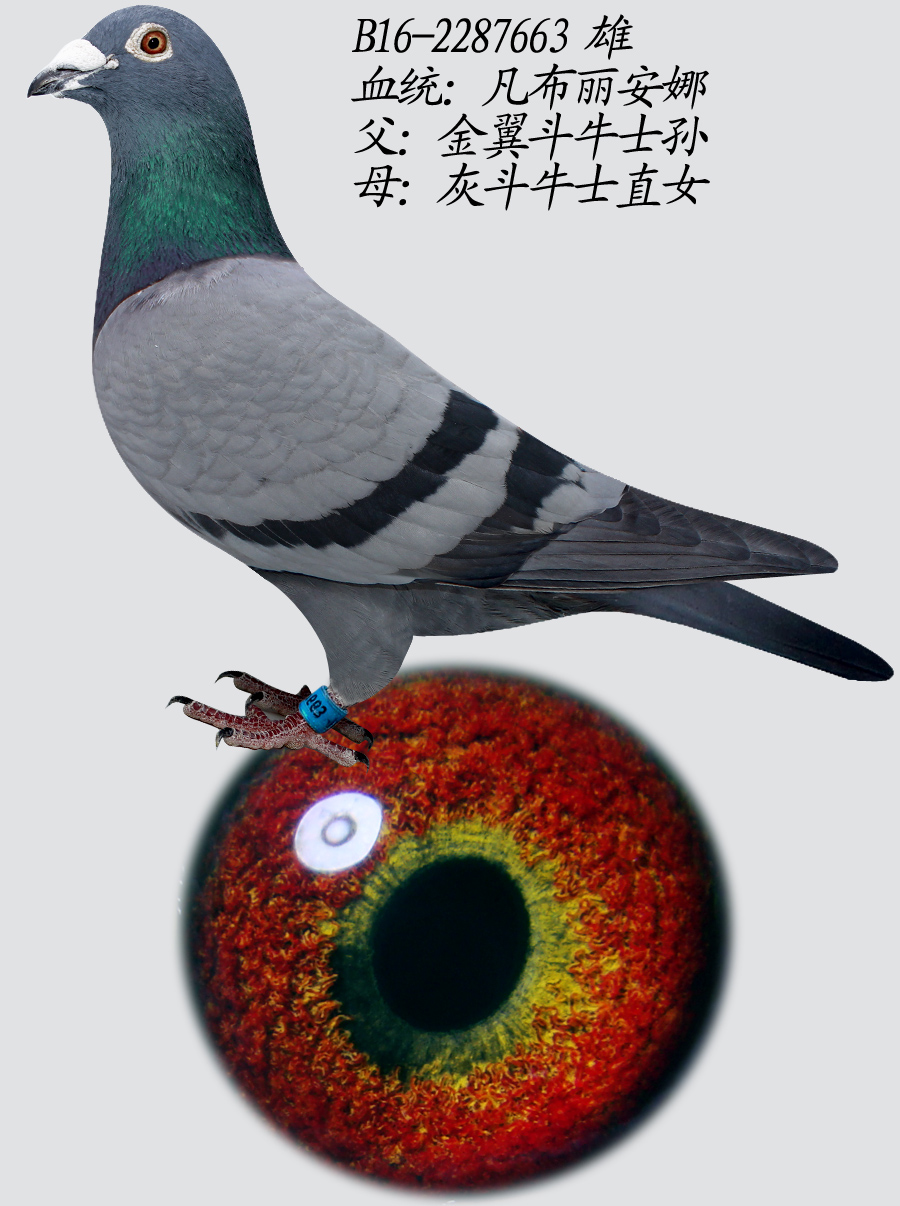 663