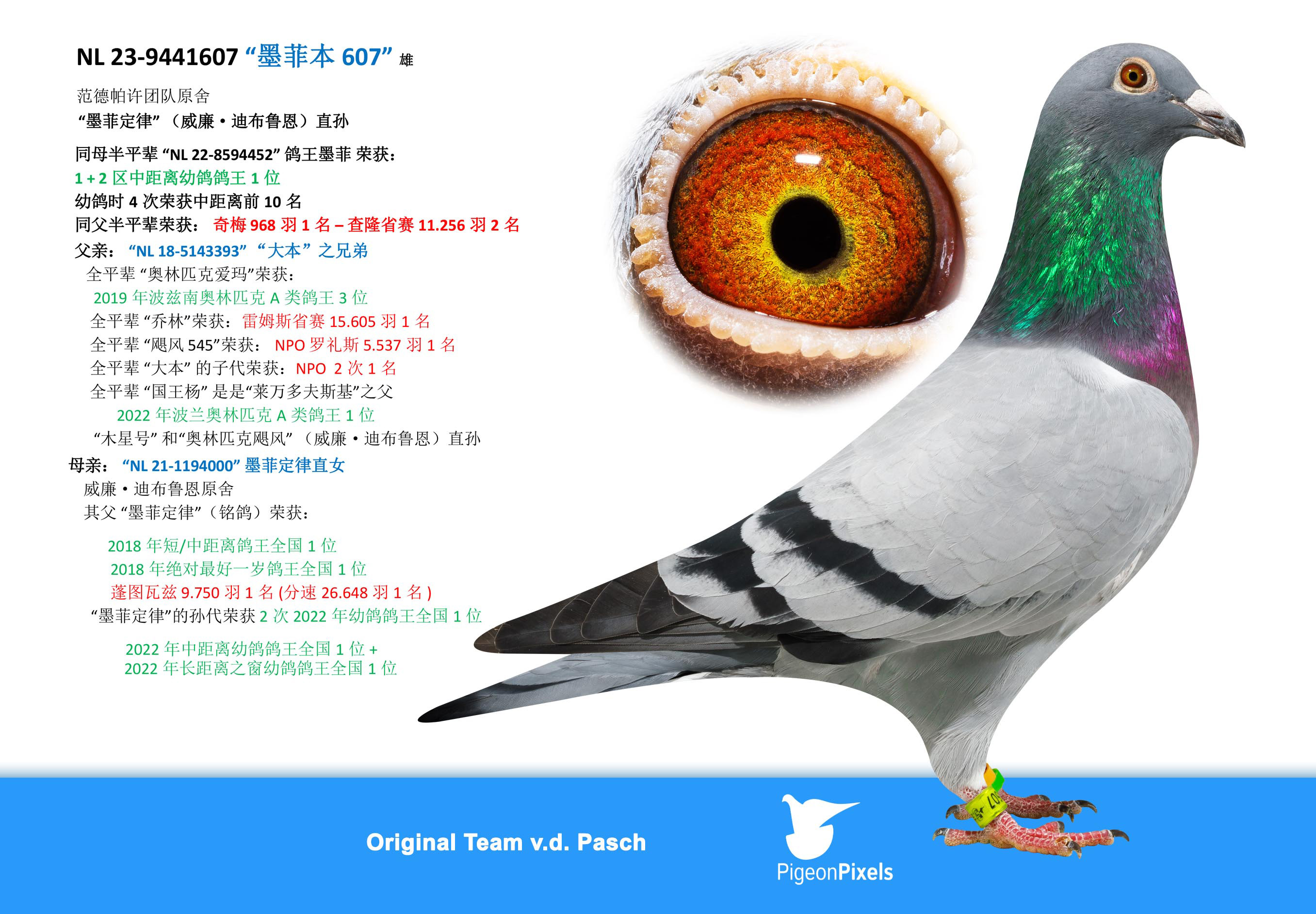 īƶֱO607